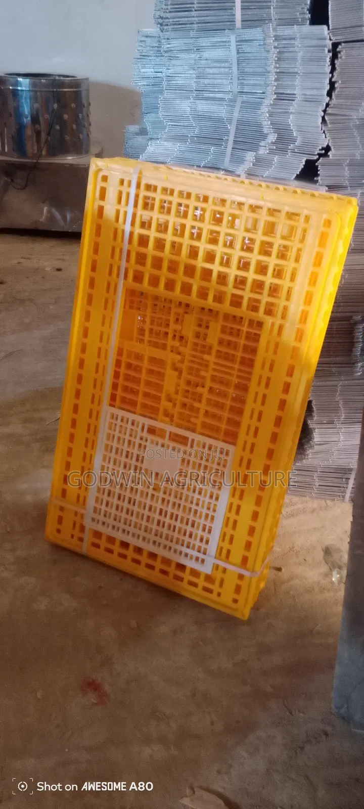Moveable Basket for Birds