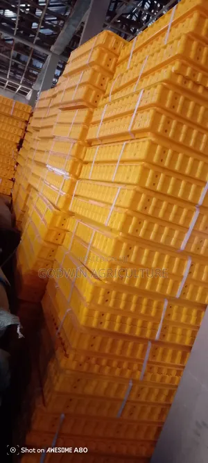Portable Birds Transport Cage