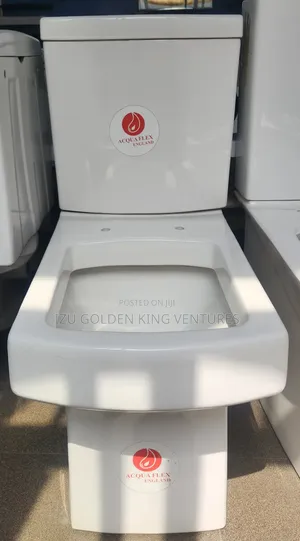 Executive Aquaflex Wc