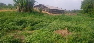 Farm for Sale
