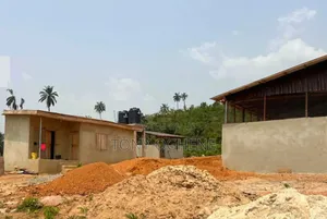 Acres Hectares Of Cocoa Plantation For Sale, Oou Road, Ago-iwoye