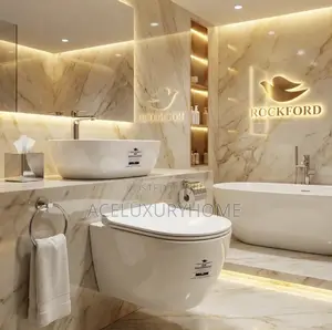 Wall Hung Water Closet Conceal