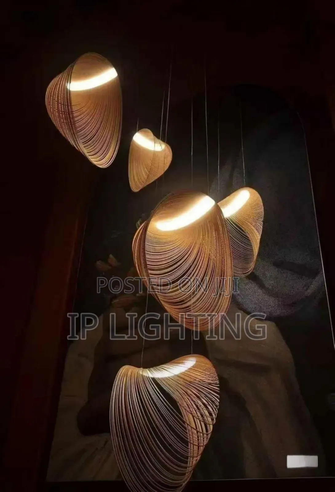 Latest Dropping Pendant Light