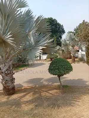 2,800 Sqm2 Land for Sale Asokoro With Old Bungalow