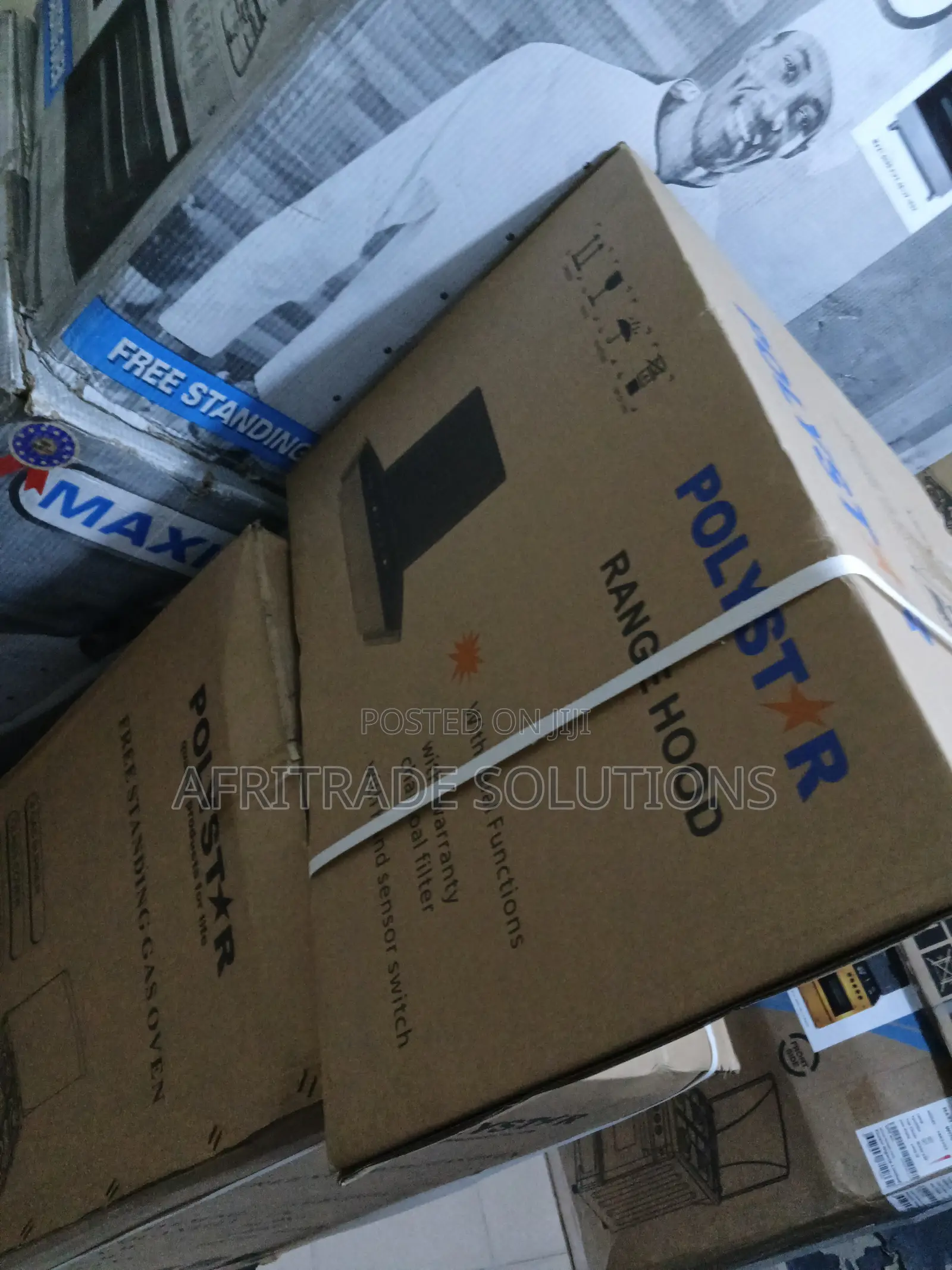Polystar Pv-6009bd Powerful Air Cleaner