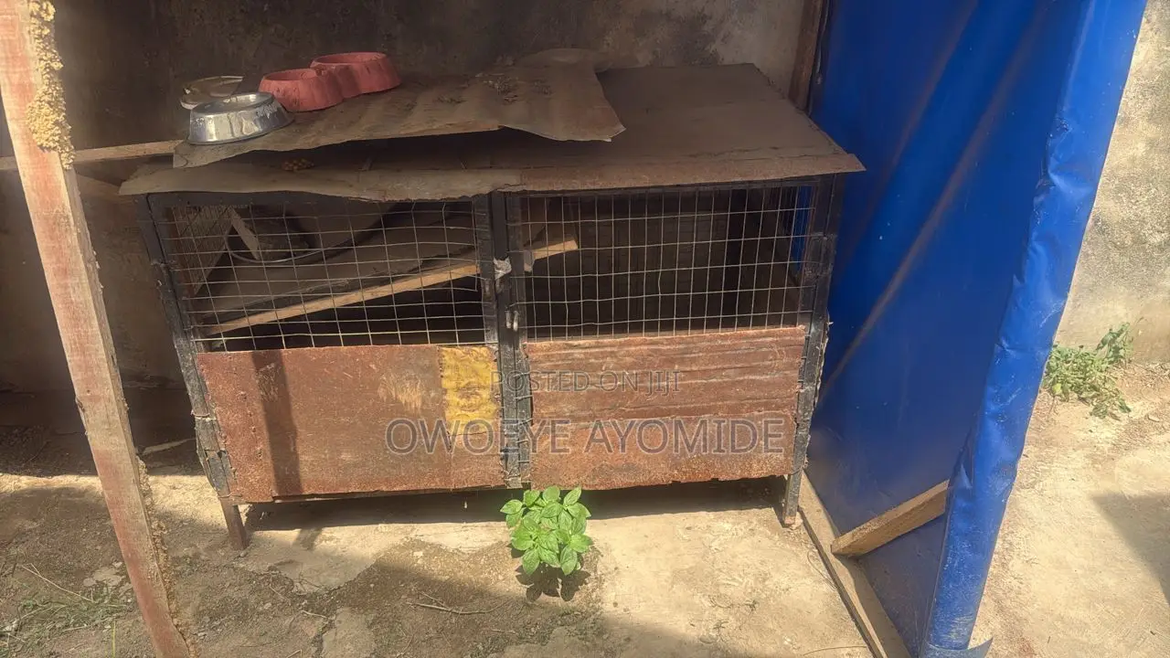Used Dog Cage