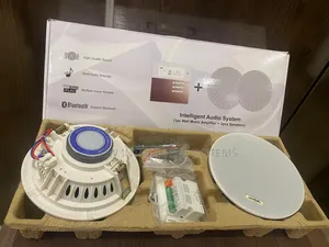 Intelligent Audio System