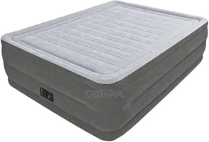Intex Inflatable Queen Size Air Mattress