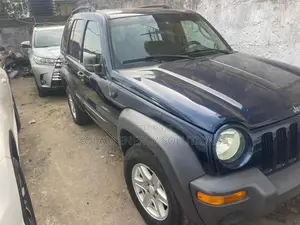Jeep Liberty 2004 Blue