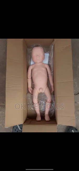 Baby Model Manikin