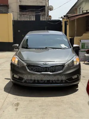 Kia Forte EX Hatchback 2014 Gray