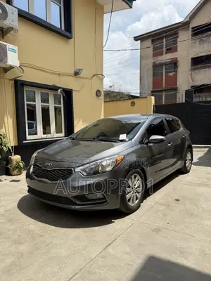 Kia Forte EX Hatchback 2014 Gray