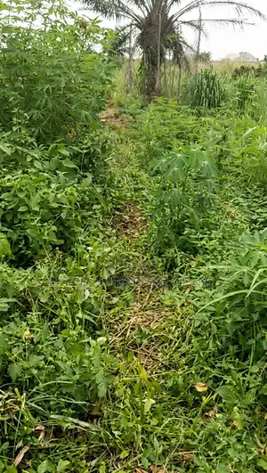 Land for Sale in Ifo Ogun State