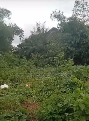 50ft by 100ft at Ewodia Upper Airports Road
