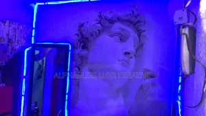Cloud Ceiling and Wall Mural Installation
