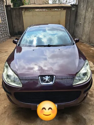 Peugeot 407 2.0 ST Comfort 2007 Gray