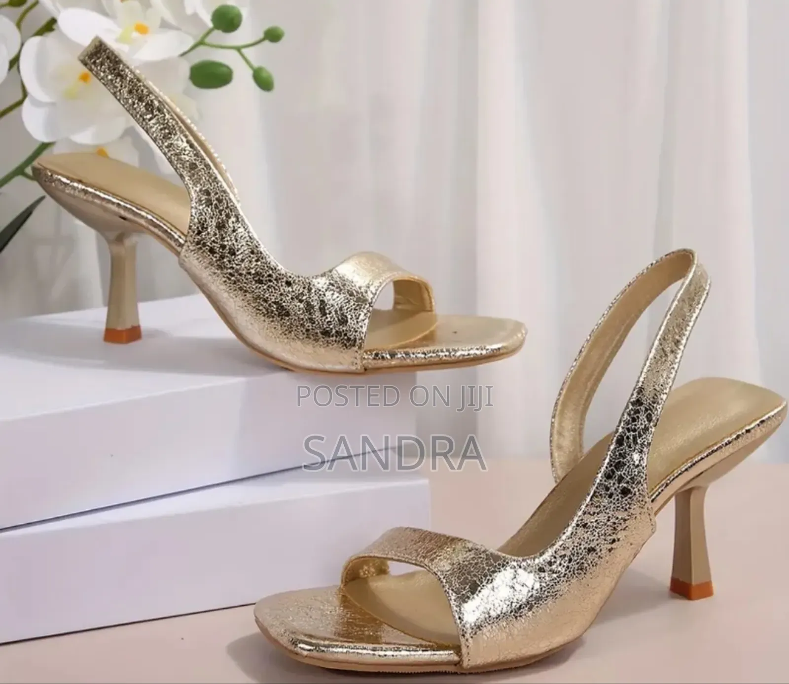 House of Sandra