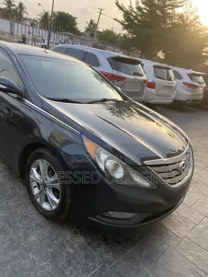 Hyundai Sonata 2011 Blue