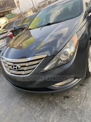 Hyundai Sonata 2011 Blue