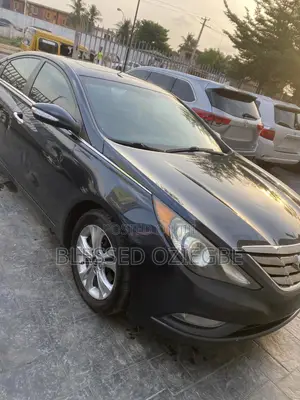 Hyundai Sonata 2011 Blue