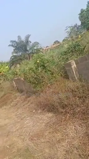 1 Plot of Land