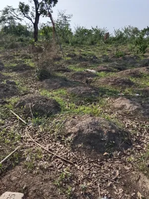 Plot and Land for Sale