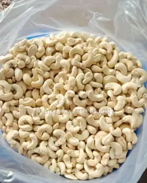 Cashew Nut Kernel W320
