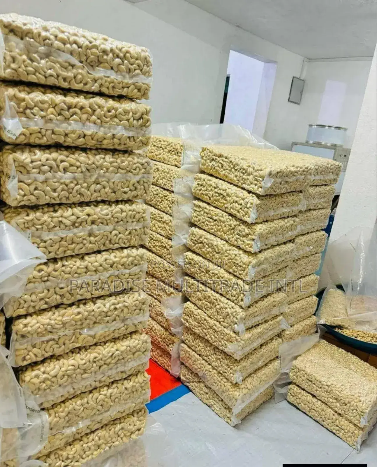 Cashew Nut Kernel W320