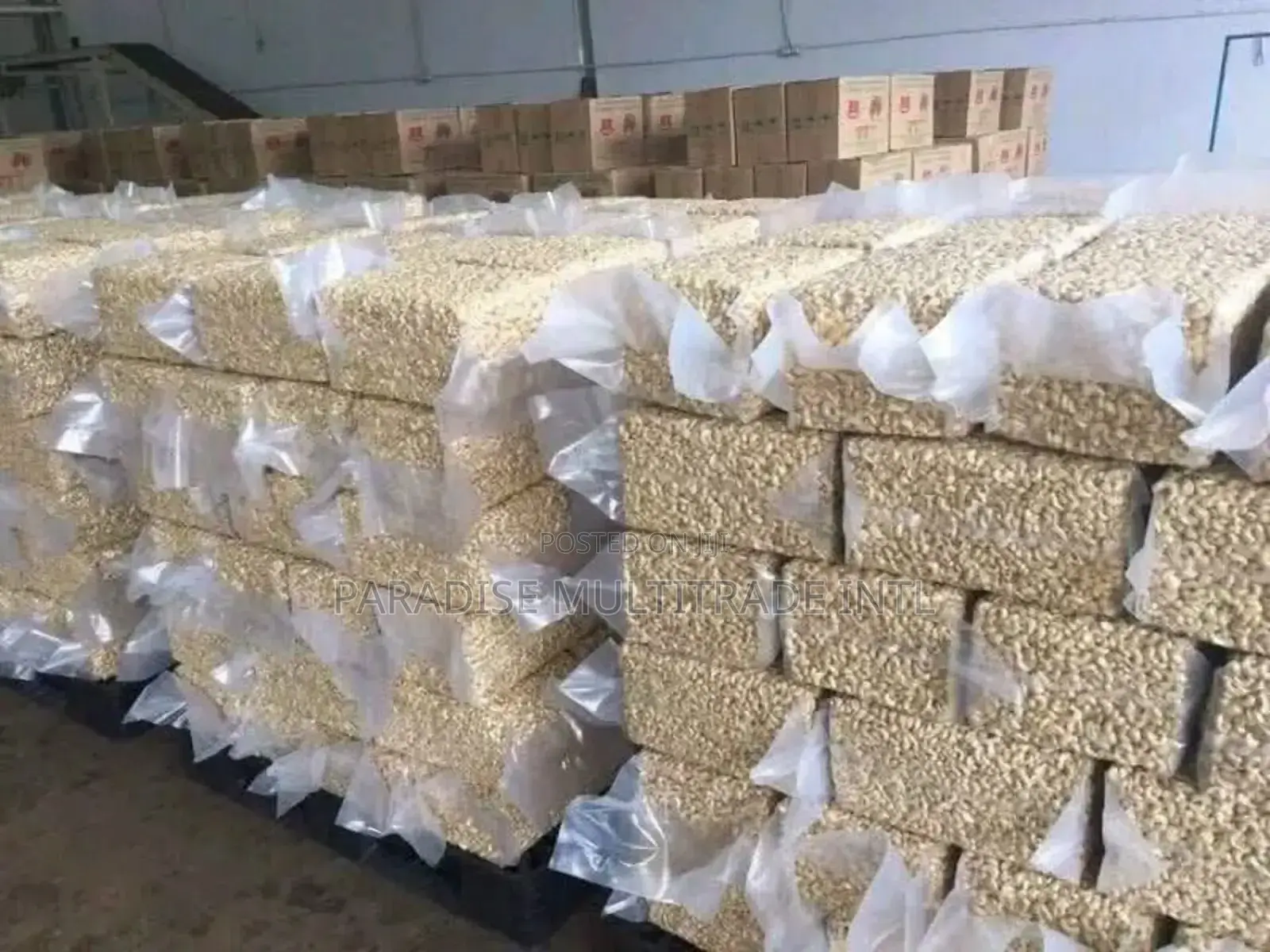 Cashew Nut Kernel W320