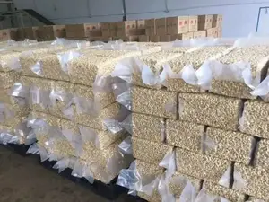 Cashew Nut Kernel W320
