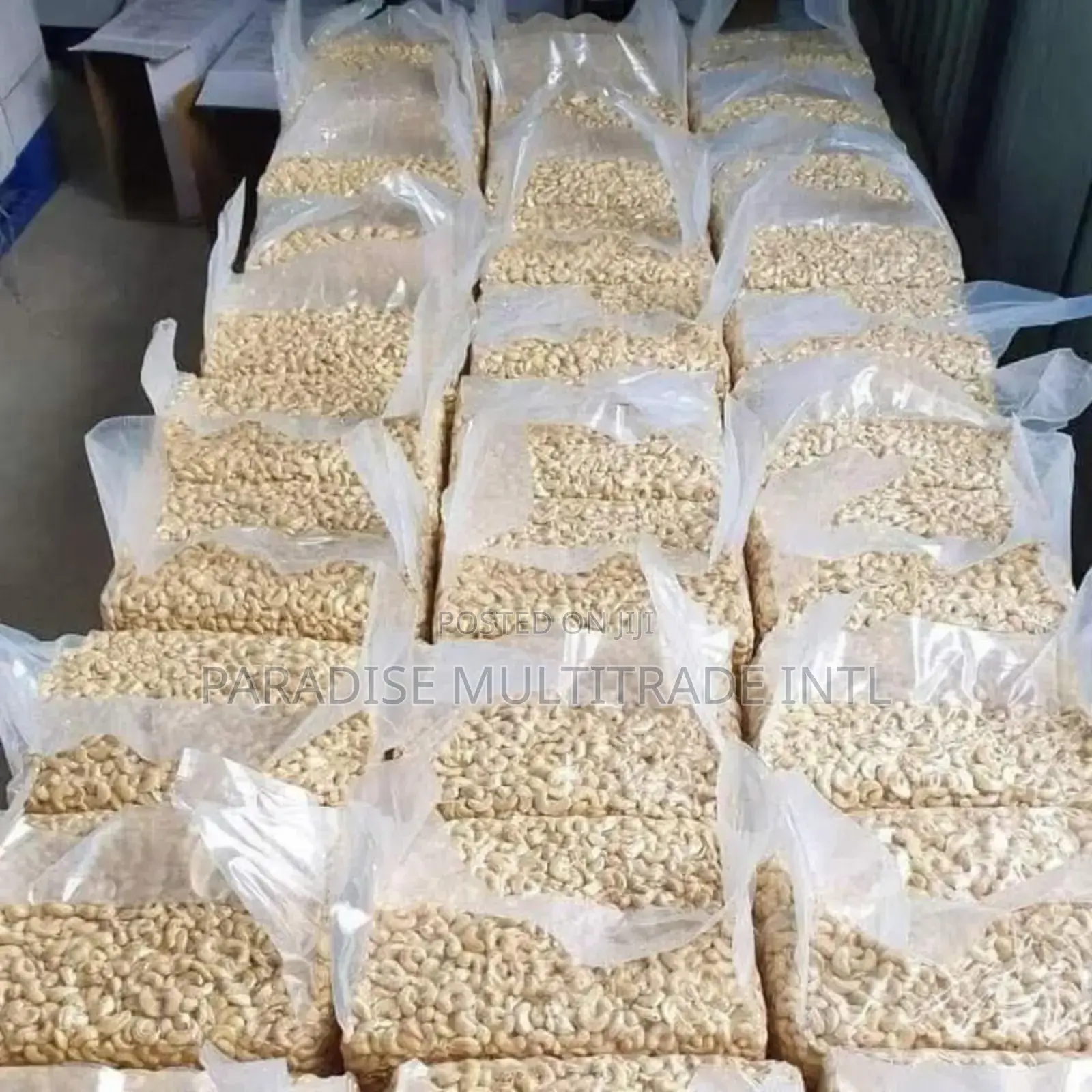 Cashew Nut Kernel W320