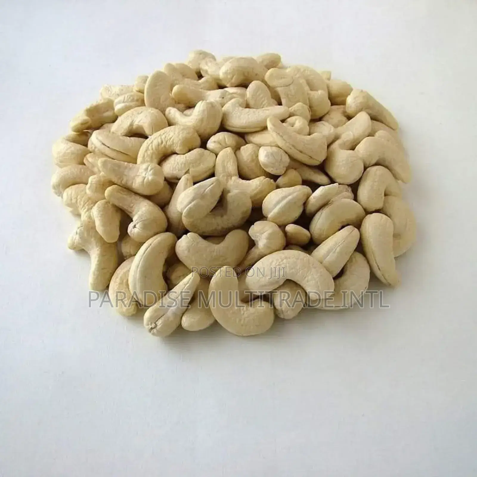 Cashew Nut Kernel W320