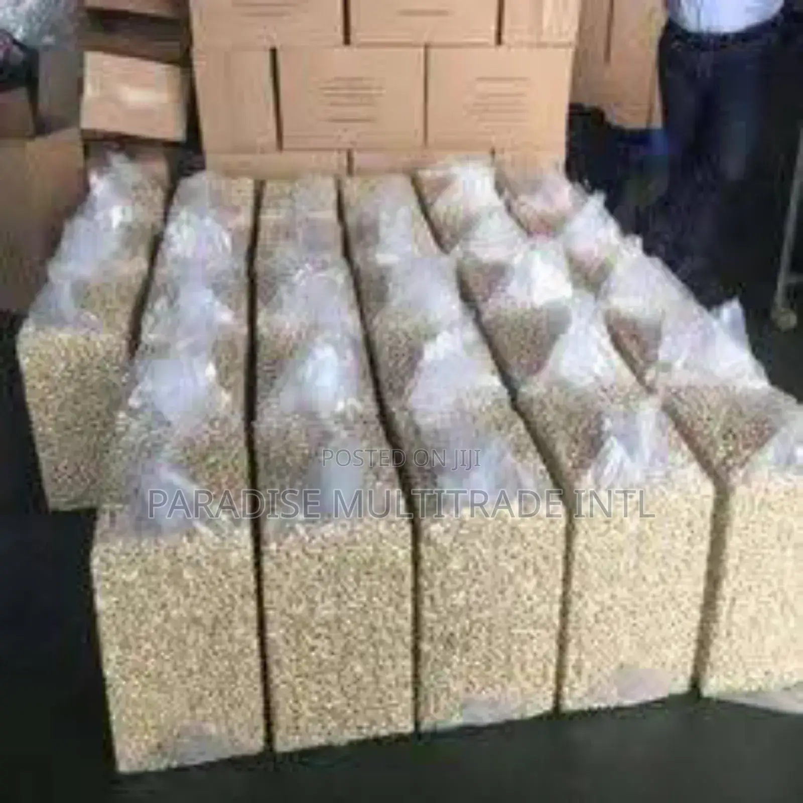 Cashew Nut Kernel W320