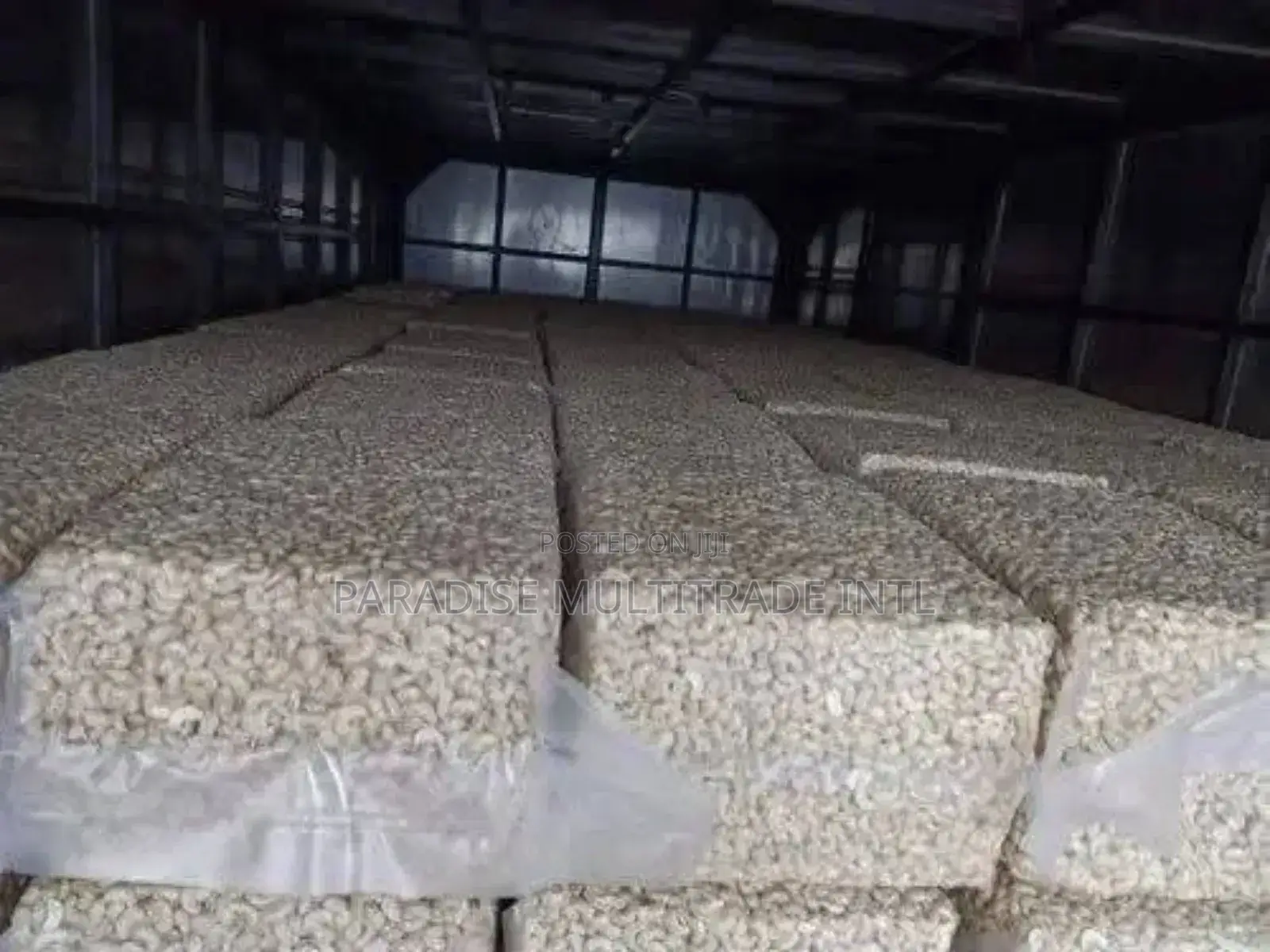 Cashew Nut Kernel W320