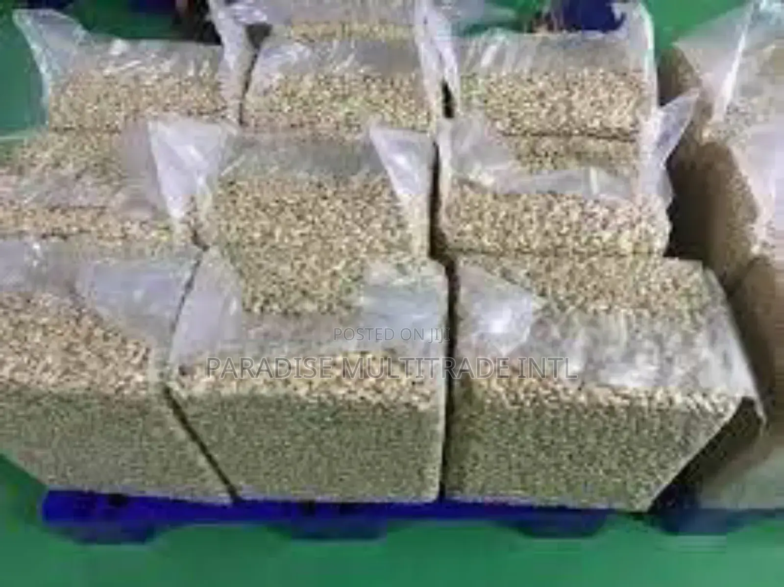 Cashew Nut Kernel W320