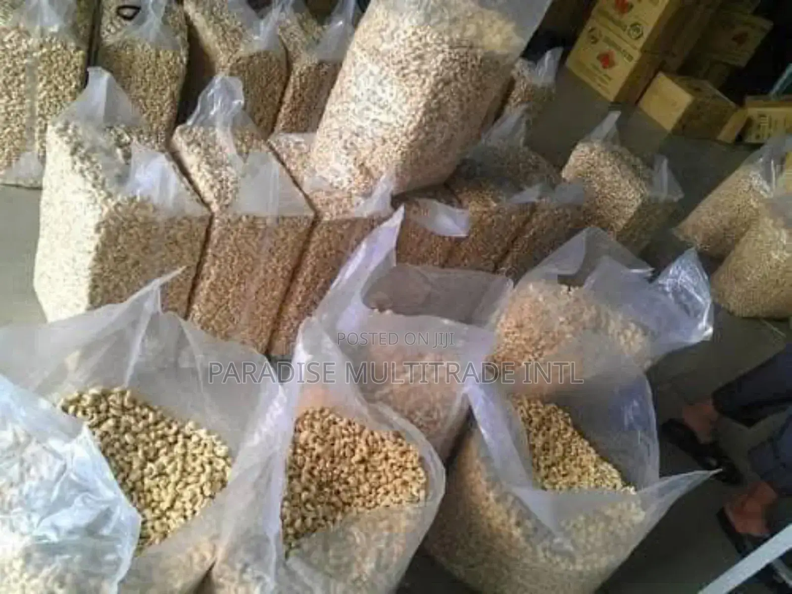 Cashew Nut Kernel W320