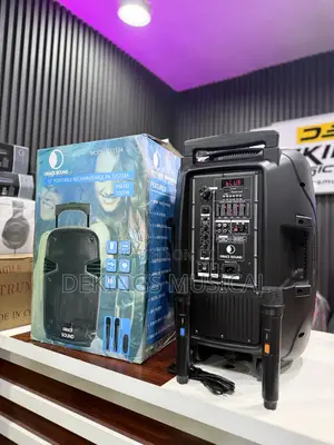 Grace Sound 15" Portable Rechargeable Pa System