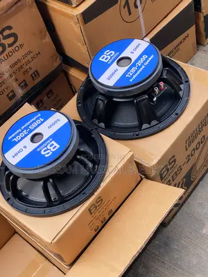 12inch Bs Speaker