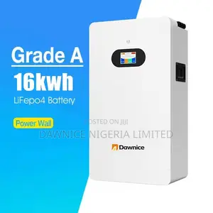 Efficient 16kwh 314ah 51.2v LFP Wall Storage Battery