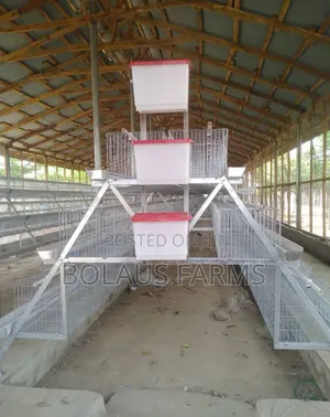 120 Birds Capacity Hot Deep Galvanized Cage