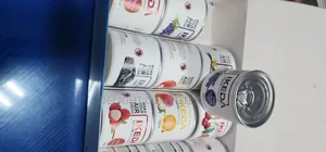 Ikeda Freshner Premiu
