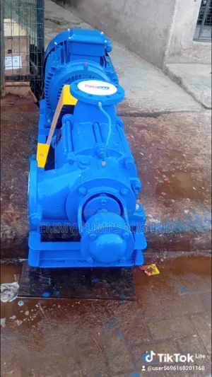 Johnson Self Priming Pump