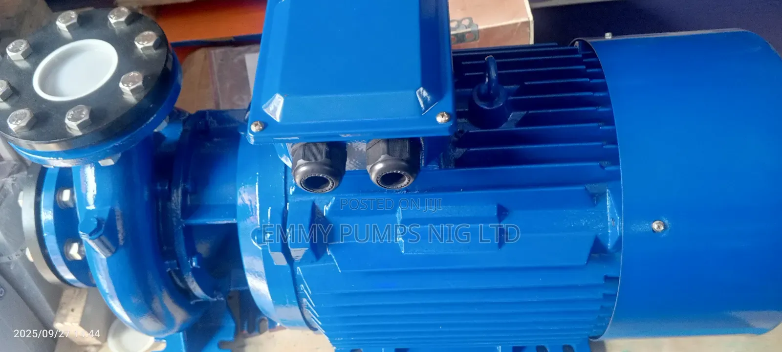 Johnson Self Priming Pump