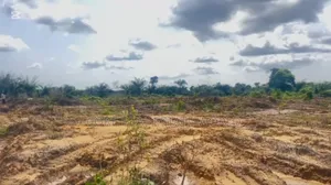 A Plot for 500 Residential and Farm Land Ilara Abeokuta Ogun