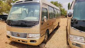 Toyota Coaster 2014 Brown