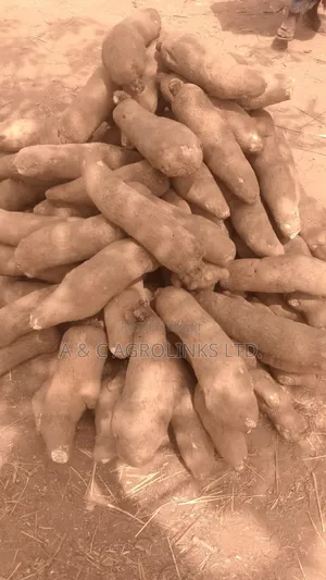 Farm Fresh Yams