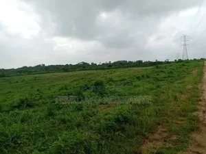 50 Plots of Land for Sale Close to the Road 3mins Drive From Ijebu Ode