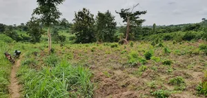 100 Plots of Standard Farm Land for Lease in Omi Adio Ibadan Oyo State