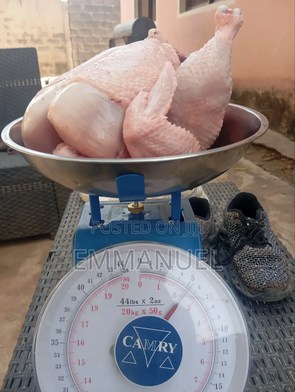 Poultry and Eggs