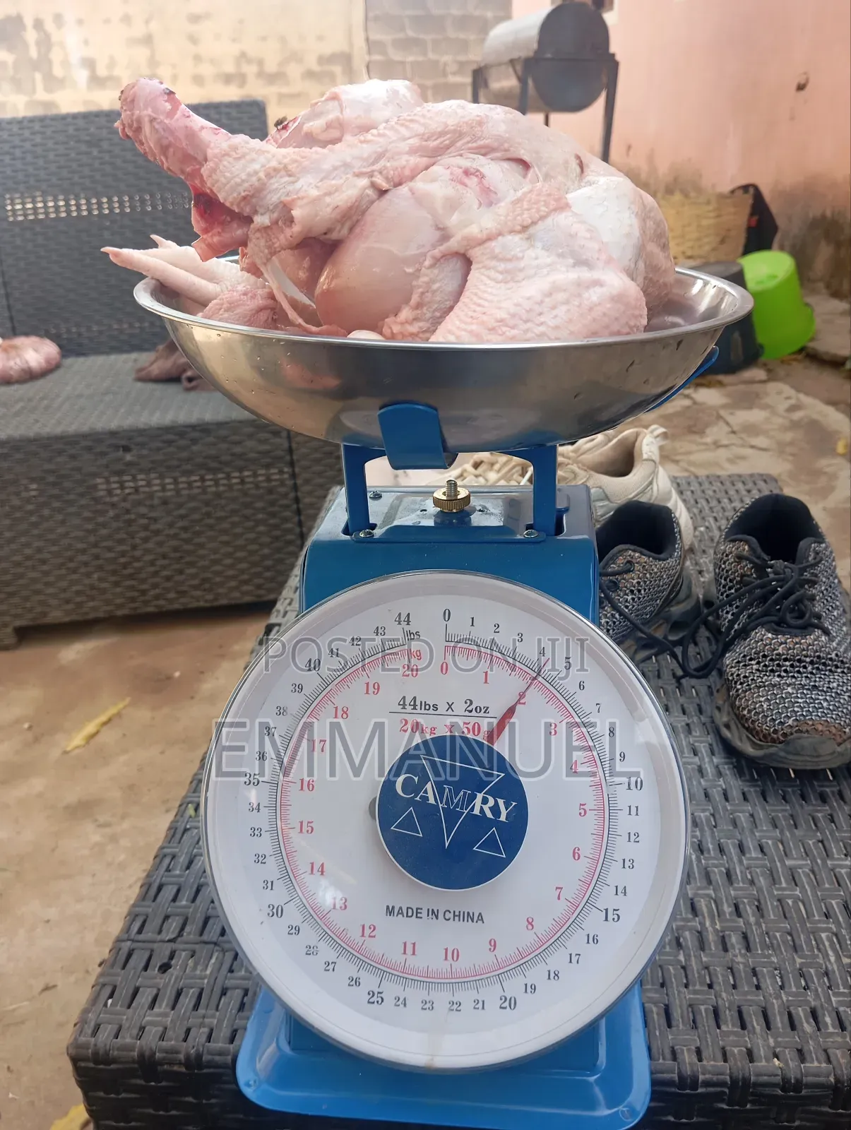 Poultry and Eggs